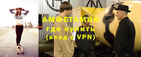 прущие грибы Няндома