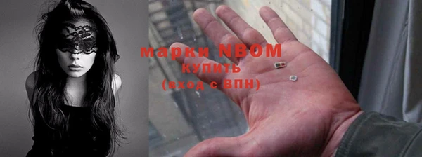прущие грибы Няндома