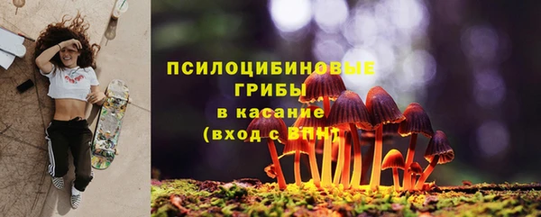 дурь Абинск