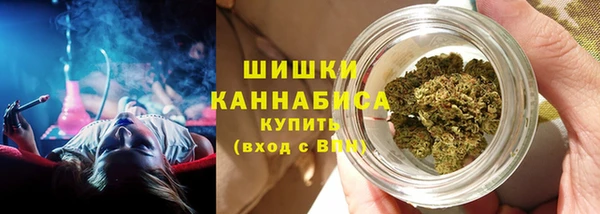прущие грибы Няндома